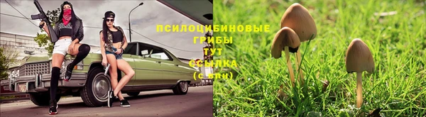 mdpv Осинники